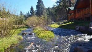 Ein Fluss fließt durch ein bewaldetes Gebiet, rechts ist ein Holzgebäude zu sehen.