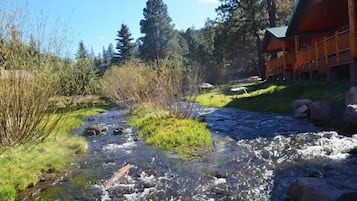 Ein Fluss fließt durch ein bewaldetes Gebiet, rechts ist ein Holzgebäude zu sehen.