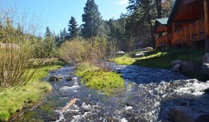 Ein Fluss fließt durch ein bewaldetes Gebiet, rechts ist ein Holzgebäude zu sehen.