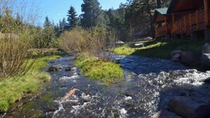 Ein Fluss fließt durch eine natürliche Landschaft, im Hintergrund steht eine Holzhütte.