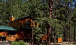 A cabin surrounded by tall pine trees.
