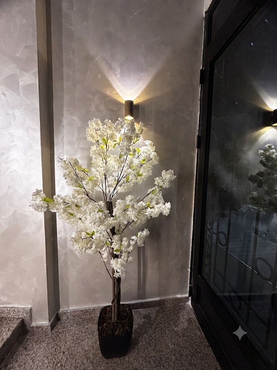 Eine Topfpflanze mit weißen Blüten vor einer Wand mit einer Leuchte.