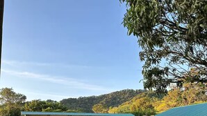 A building with a green roof, surrounded by lush greenery and a grassy area with pink flowers. - Top View Cottage in Lake Arenal (Río Chiquito)