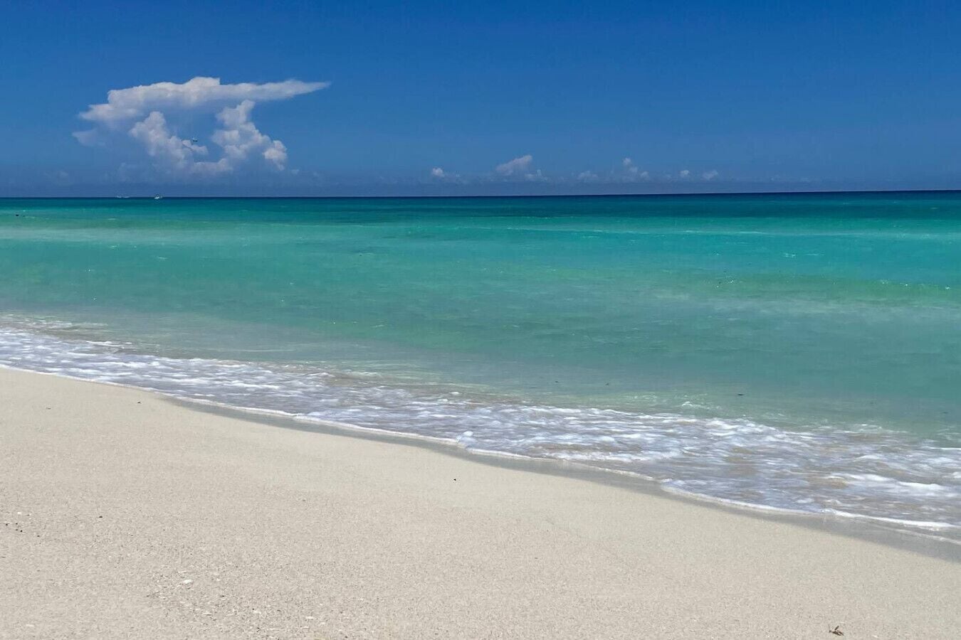 Playa