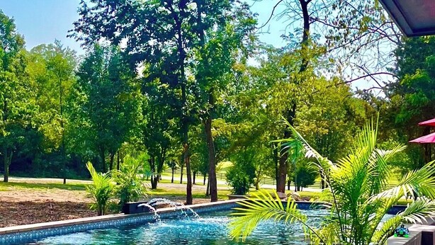 Piscina rodeada de árboles y un patio.