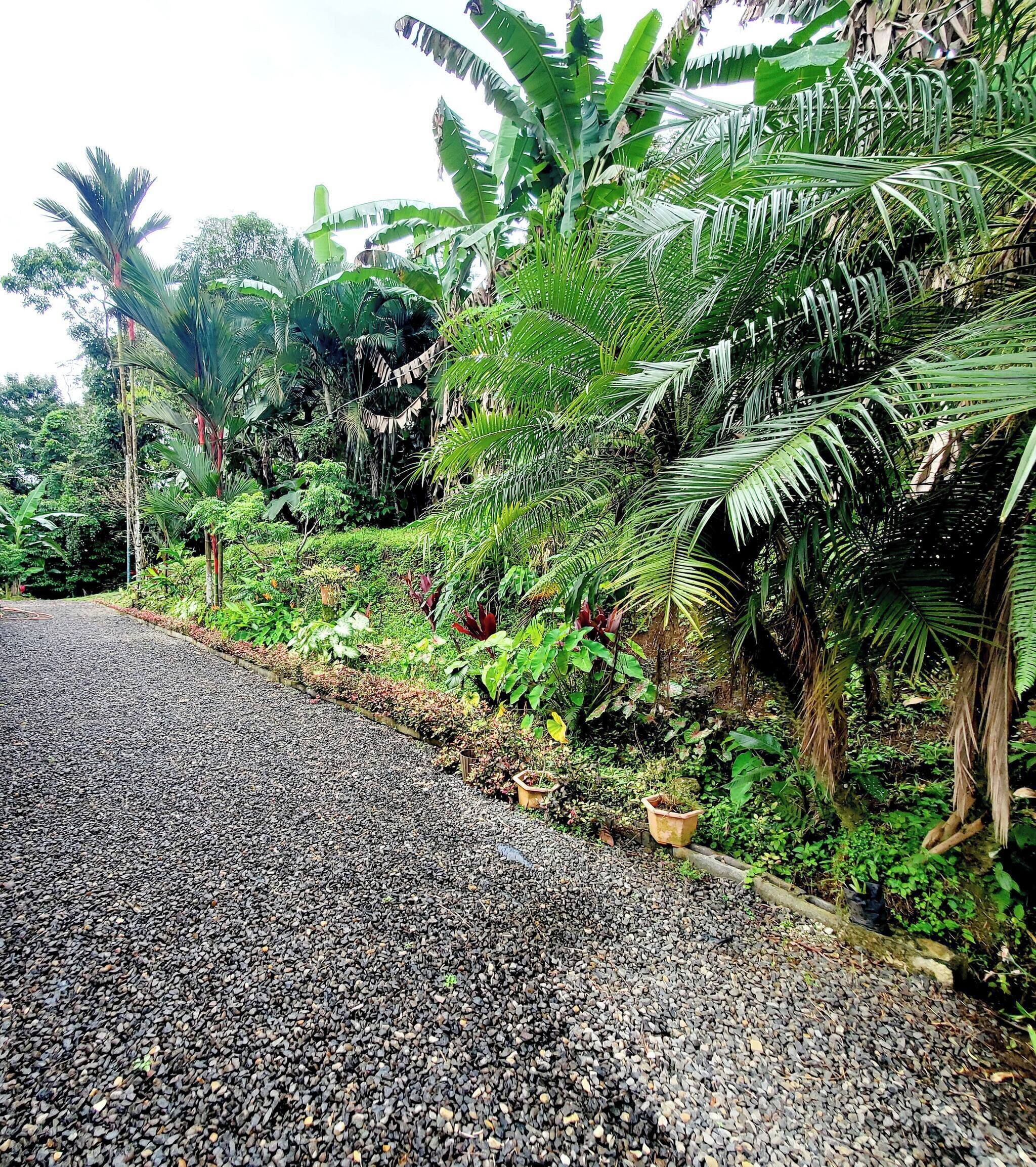 House, 2 Bedrooms, Patio | Garden