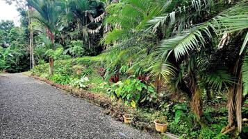 House, 2 Bedrooms, Patio | Garden