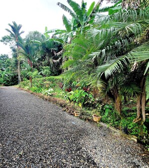 Casa, 2 quartos, varanda | Jardim