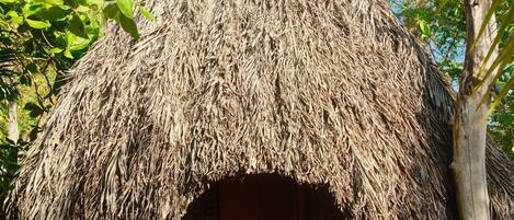 Detalle exterior