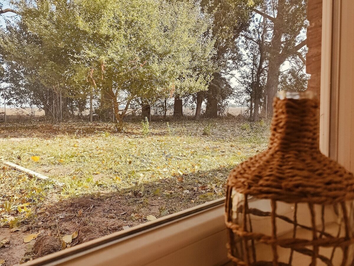 Vista desde una ventana a un espacio verde con árboles, una cesta de mimbre y un tubo blanco en el suelo.