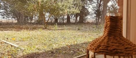 A window view of a grassy area with trees, a wicker basket, and a white pipe on the ground.