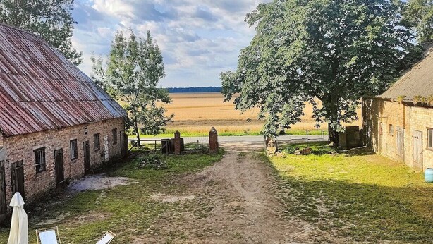 En lantlig miljö med en grusväg som leder till en ladugård, omgiven av träd och öppna fält.