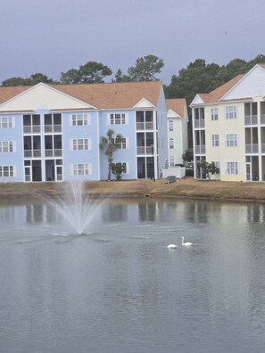 A row of multi-story buildings with balconies, a body of water with a fountain, and a swan swimming. - Delightful 2-bedroom condo with AC in Myrtle Beach (Myrtle Beach)