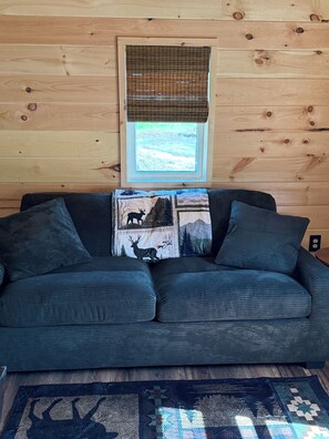 A wooden cabin interior with a dark green sofa, a window with a view, and a patterned rug.