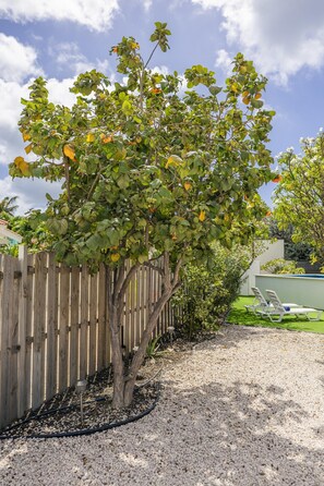 Terraço/pátio