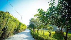 Um caminho pavimentado ladeado por sebes bem aparadas e árvores, que conduz a uma área verde exuberante.