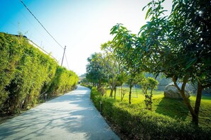 View from property - Mango Bloom River Resort (Ranikhet)