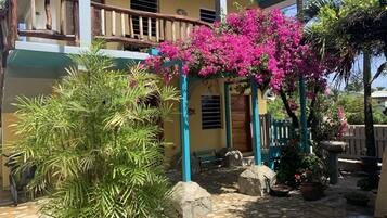 A two-story building with a balcony, a stone-paved courtyard, and a vibrant pink flowering plant.