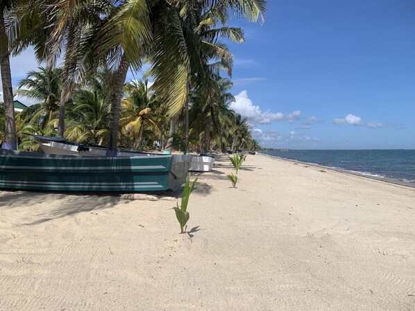 Beach - All Seasons Guest House (Hopkins)