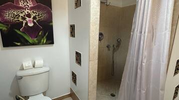 A bathroom with a toilet, shower, and a wall-mounted orchid painting.