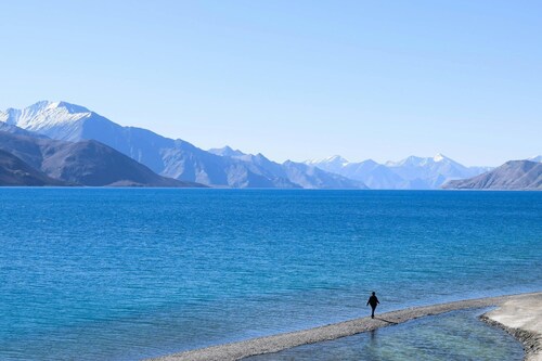 Blue Chill Cottage Pangong