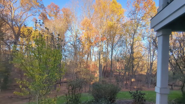 A garden with trees and shrubs, a pathway, and a building structure. - Mid-Term Rental Furnished 2BR/2BA Condo in Germantown, MD (Germantown)