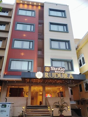 View from property - Shrigo Hotel Rudra Palace (Udaipur)