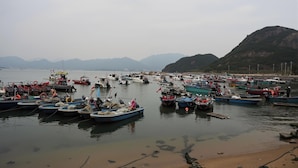 A harbor with numerous boats docked, a sandy beach, and mountains in the background. - Shenzhen Yusu Linting Inn (Shenzhen)