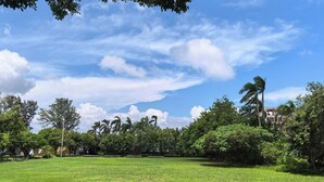 A grassy park with trees and a clear sky. - Shenzhen Yusu Linting Inn (Shenzhen)