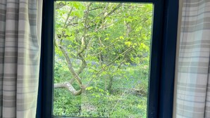 A window with a view of a tree and foliage. - 'Bluebell' Charming Woodland Shepherds Hut nr Sea (Holyhead)