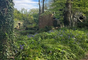 Property grounds - 'Bluebell' Charming Woodland Shepherds Hut nr Sea (Holyhead)