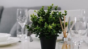 A dining table set with plates, glasses, and a small potted plant.