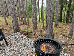 Property grounds - Manistee River Cozy Camper 2 (Grayling)