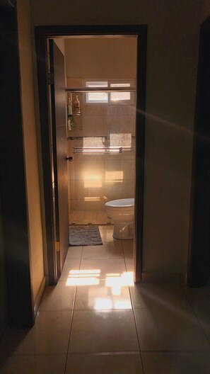 ヘアドライヤー、タオル、石鹸、トイレットペーパー