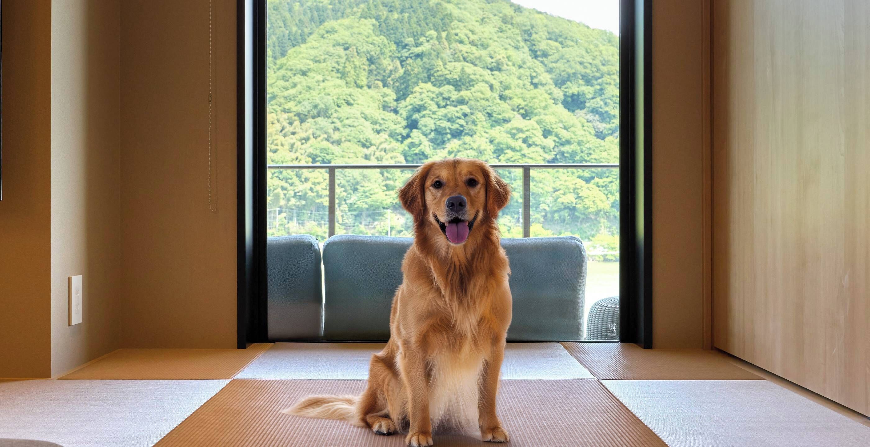 Suite, Non Smoking (BDogFriendly2Queen4SingleHSpringSauna) | Bahagian dalam