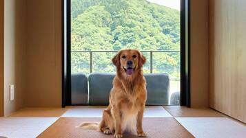 Suite, Non Smoking (BDogFriendly2Queen4SingleHSpringSauna) | Bahagian dalam