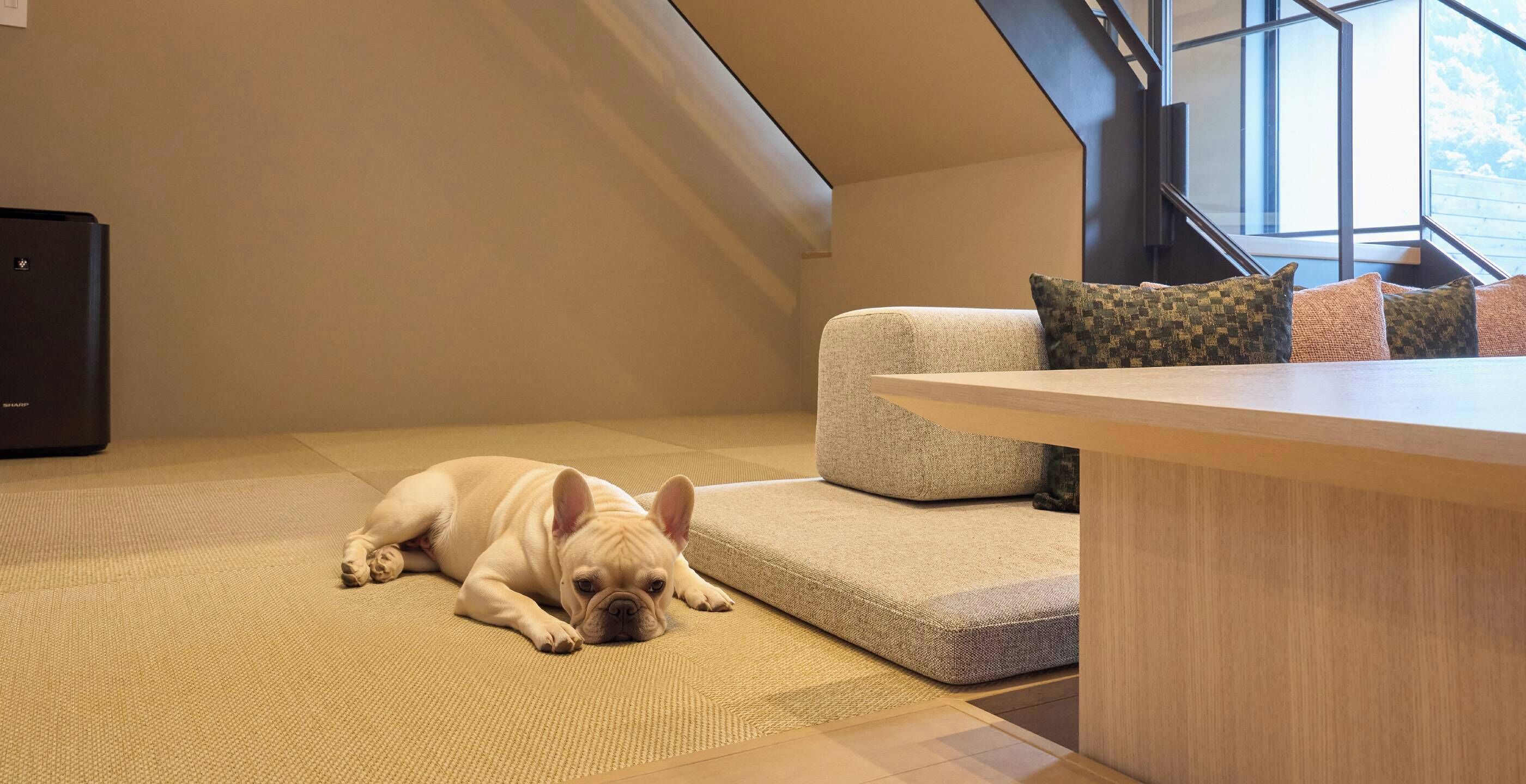 Double Room, River View (EDogFriendly,2Queen3Futons,HotSpring) | Bahagian dalam