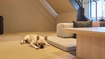 Double Room, River View (EDogFriendly,2Queen3Futons,HotSpring) | Bahagian dalam