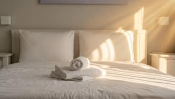 Iron/ironing board, WiFi, bed sheets