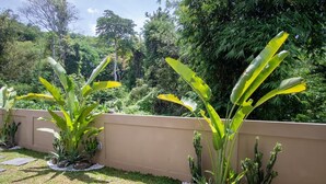 A garden with large green plants and cacti, a beige wall, and stone slabs. - Umalas Jungle Villa (Kerobokan)