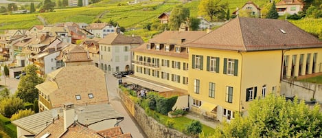 A residential area with terraced houses, a central street, and vineyards in the background.