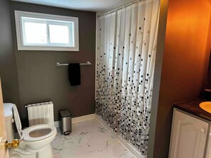 Hair dryer, towels, soap, toilet paper - The Downtown Queen House GFW (Grand Falls-Windsor)