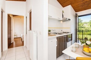 Eine moderne Küche mit eingebautem Backofen, Spüle und einem Fenster mit Blick auf Grünflächen.