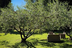A garden with a tree, grass, and outdoor furniture. - Marisa Olive Grove - App Luna, Labin, Croatia (Labin)