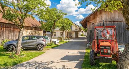 Logar Farm Stay near Lake Cerknica - R2, Grahovo, Slovenia