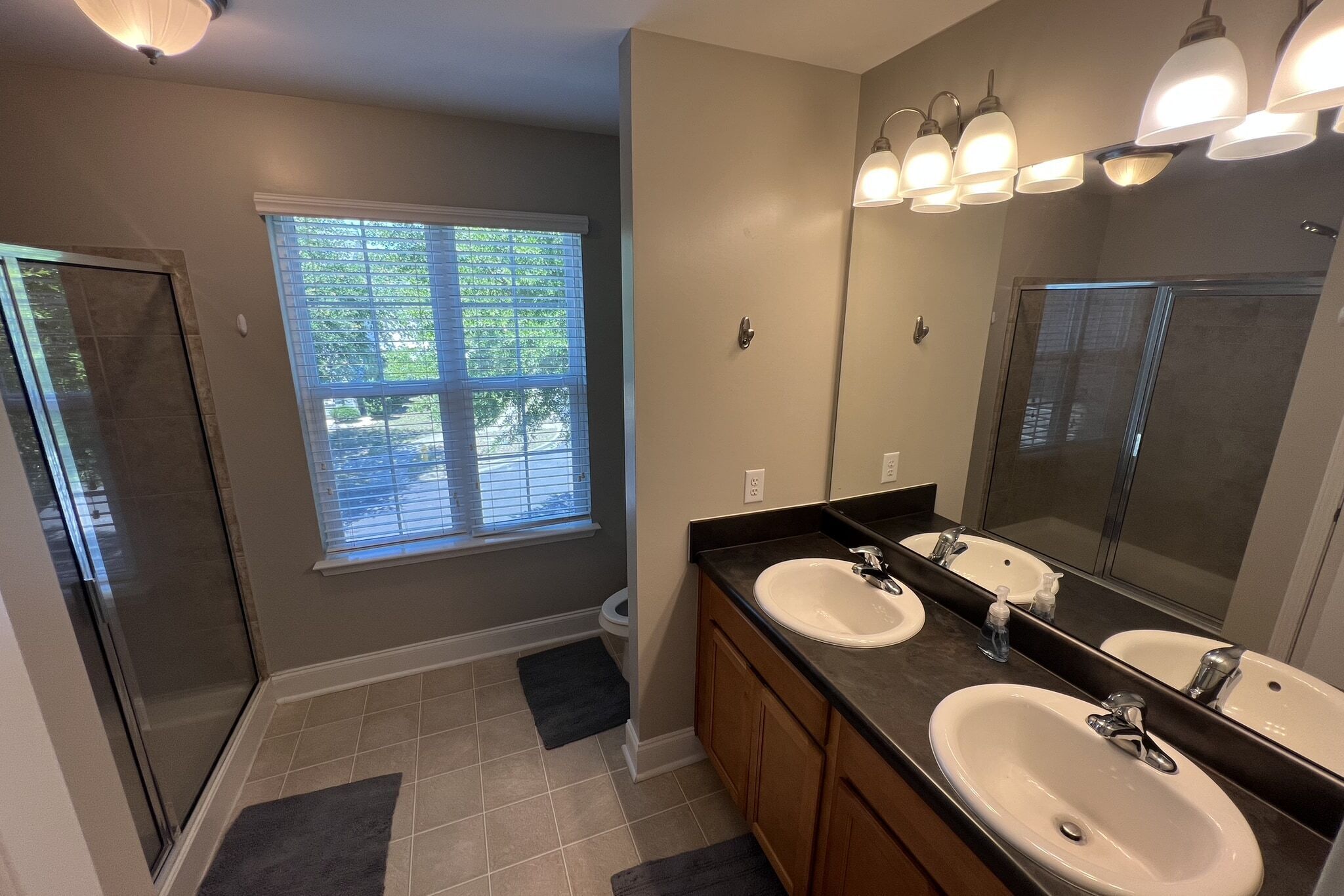 Shower, bidet, towels, soap