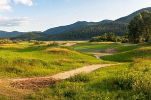 A rural landscape with a dirt path, green fields, and distant hills. - Logar Farm Stay near Lake Cerknica - R1, Grahovo, Slovenia (Grahovo)