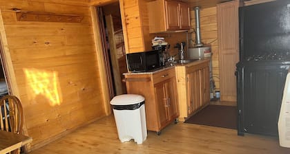 Timeless Nostalgic Resort Cabin Steps from the water and campfire nights!