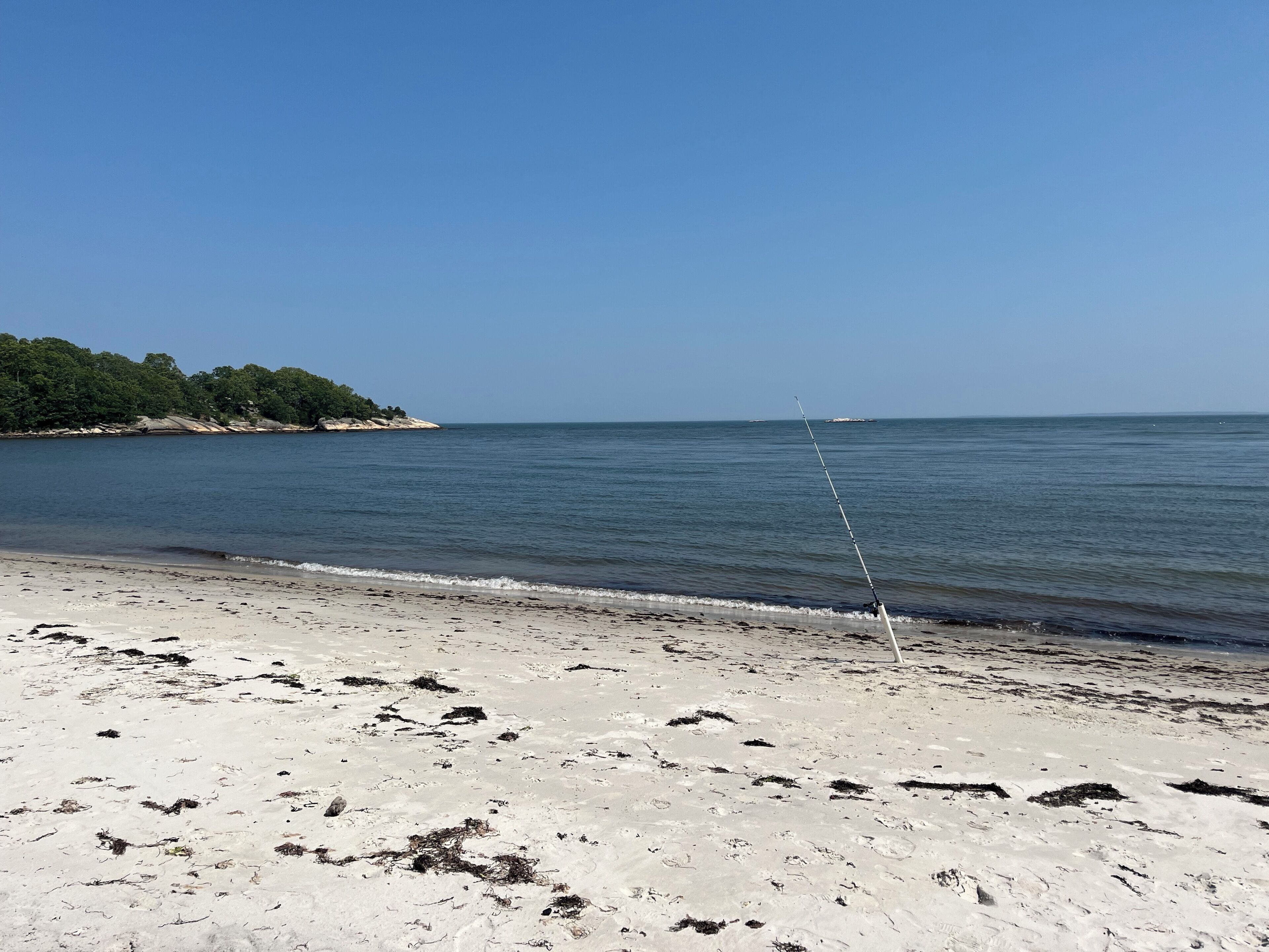 Une plage avec une canne à pêche, un rivage sablonneux et des arbres qui se dessinent à l’horizon.