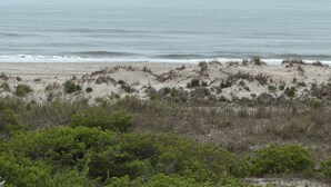 A beach with dunes and vegetation. -  4 bedroom + bonus room house  with ocean view in Sea Isle City (Sea Isle City)